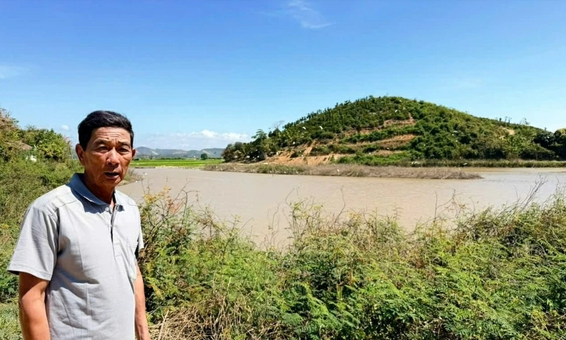 Khung cảnh nên thơ tuyệt đẹp, đàn cò trắng nghìn con hội tụ tìm thức ăn và trú ngụ