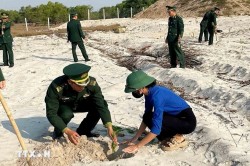 Bộ đội Biên phòng lan tỏa phong trào “Tết trồng cây” trên hai tuyến biên giới