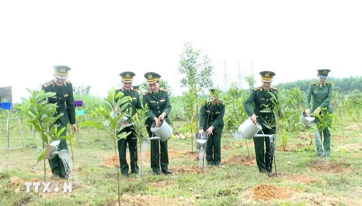 Bộ đội Biên phòng lan tỏa phong trào “Tết trồng cây” trên hai tuyến biên giới