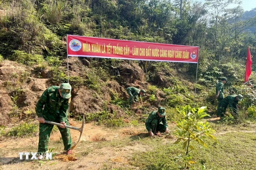 Bộ đội Biên phòng lan tỏa phong trào “Tết trồng cây” trên hai tuyến biên giới