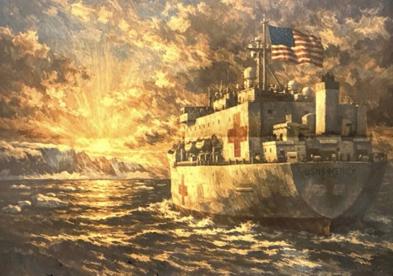 Tổng thống Mỹ muốn gửi tàu bệnh viện, Thủ hiến Greenland nói 'không, cảm ơn'