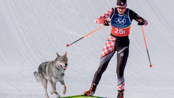 Ảnh ấn tượng: Ra mắt Hội đồng Hòa bình, Triều Tiên khai mạc Đại hội Đảng, Ramadan bên đống hoang tàn, chú chó 'đua ké' gây sốt tại Olympic