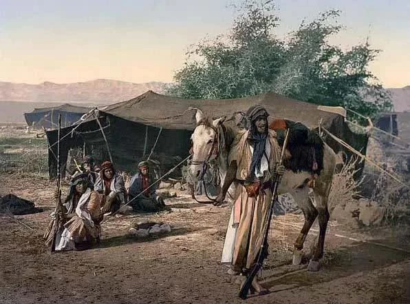 Người Bedouin và nhịp vó sinh tồn trên sa mạc