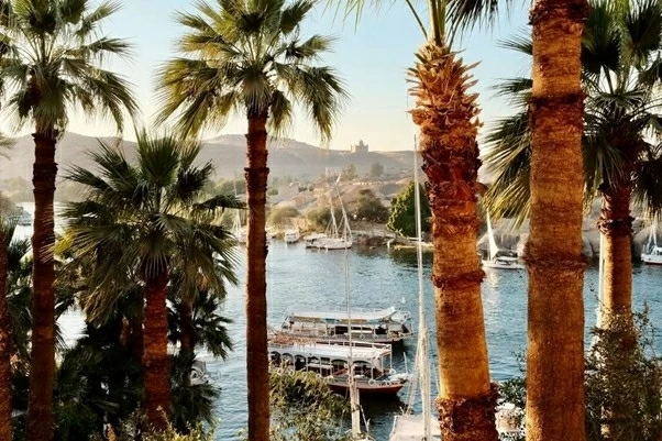 Hoàng hôn bên bờ sông Nile, Aswan nhìn từ một rặng cọ, với những chiếc thuyền buồm gỗ Felucca dập dìu trên làn nước xanh biếc. (Ảnh: Xinhua)