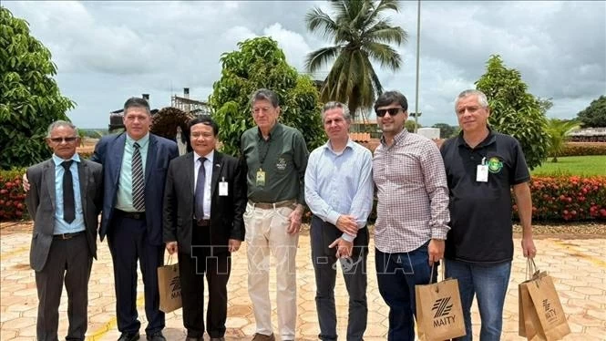 Việt Nam và Brazil thúc đẩy hợp tác nông nghiệp, năng lượng và sinh học Việt Nam và Brazil thúc đẩy hợp tác nông nghiệp, năng lượng và sinh học