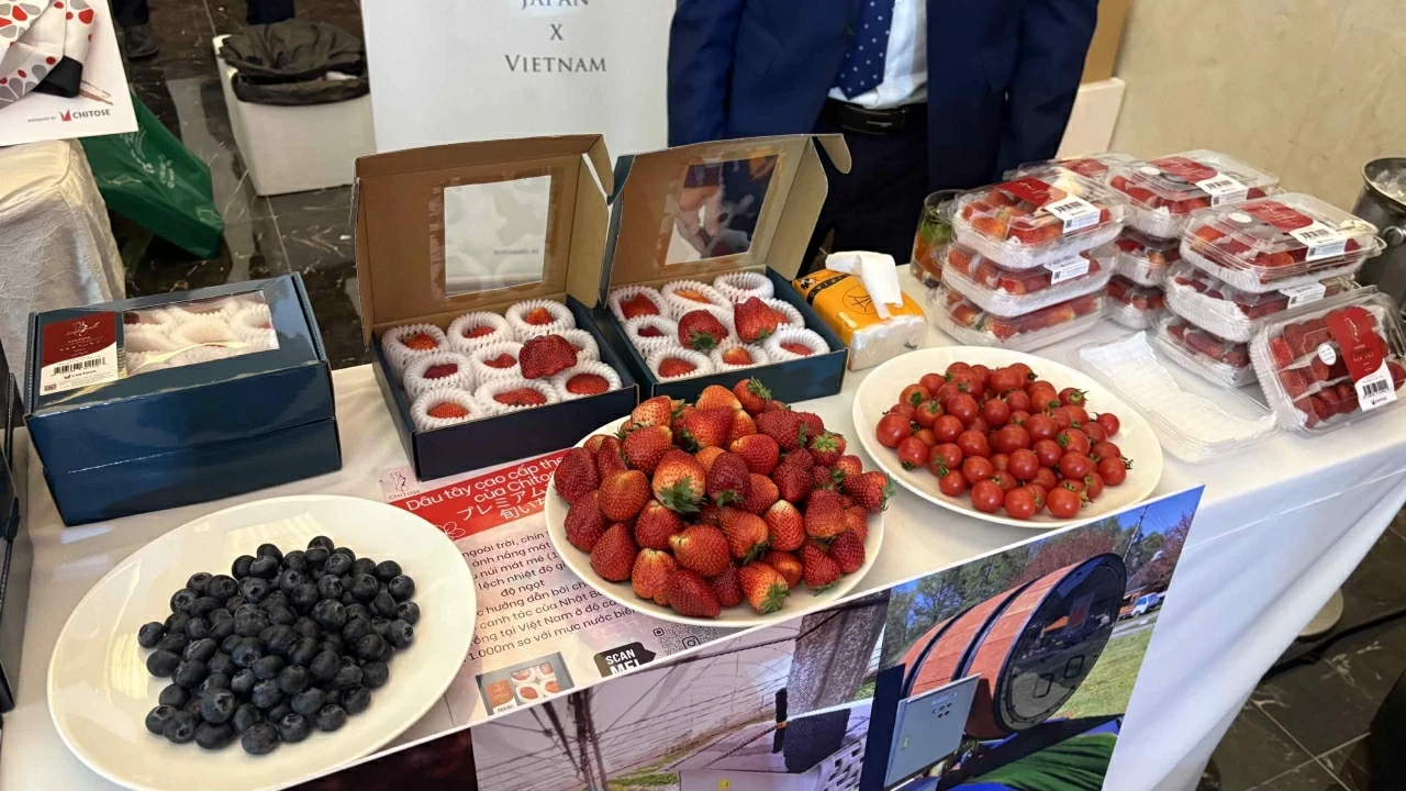 Nhật Bản là đối tác quan trọng hàng đầu, là người bạn đồng hành tin cậy trong kỷ nguyên phát triển của Việt Nam Nhật Bản là đối tác quan trọng hàng đầu, người bạn đồng hành tin cậy trong kỷ nguyên phát triển của Việt Nam