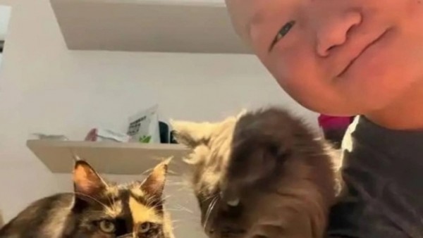 Trung Quốc: Dịch vụ chăm sóc mèo 'hái ra tiền' dịp Tết Nguyên đán