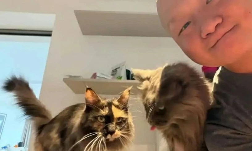 Trung Quốc: Dịch vụ chăm sóc mèo khi chủ vắng nhà dịp Tết Nguyên đán