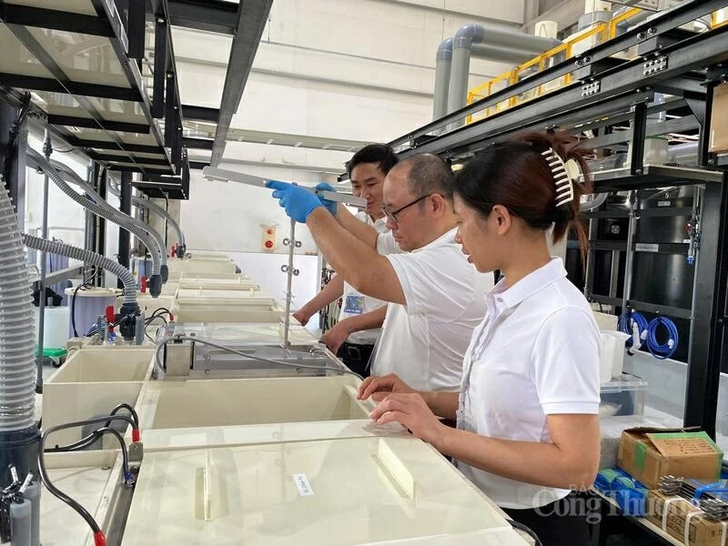 5P. Số 10: S&P Global: Ngành sản xuất Việt Nam tâm thế tích cực đầu năm mới