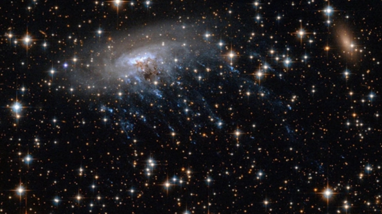 Phát hiện ‘thiên hà sứa’ 8,5 tỷ năm tuổi