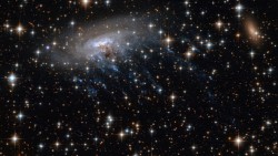 Phát hiện ‘thiên hà sứa’ 8,5 tỷ năm tuổi