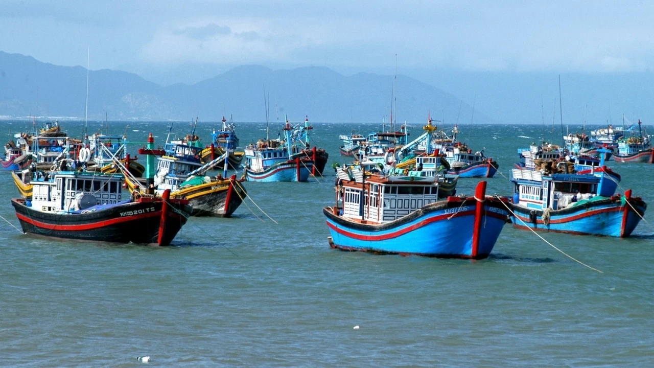 Quyết tâm cao nhất gỡ 'thẻ vàng' IUU