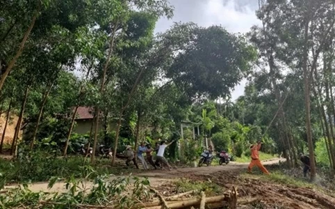 Lịch cúp điện Thành phố Huế hôm nay ngày 6/3/2026