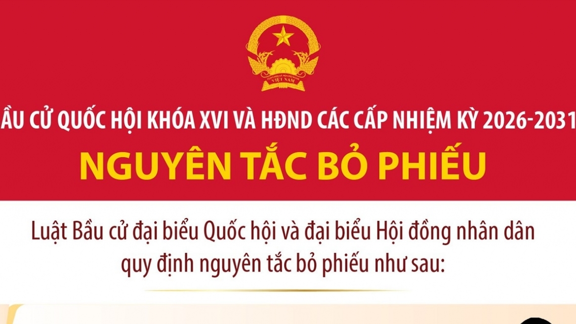 Bầu cử Quốc hội và Hội đồng nhân dân: Nguyên tắc bỏ phiếu