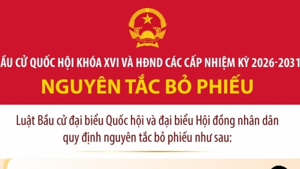 Bầu cử Quốc hội và Hội đồng nhân dân: Nguyên tắc bỏ phiếu
