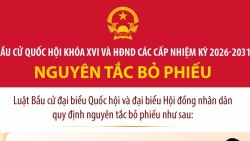 Bầu cử Quốc hội và Hội đồng nhân dân: Nguyên tắc bỏ phiếu