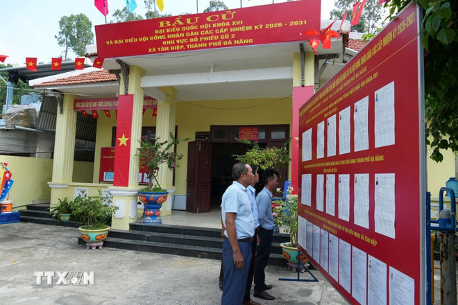 Cụm đảo Cù Lao Chàm: Cột mốc chủ quyền rực rỡ sắc cờ trước ngày hội lớn