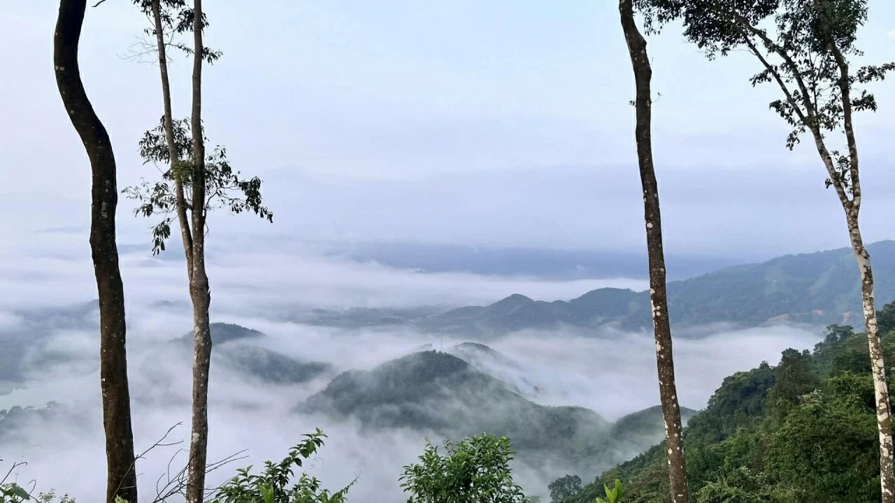 Dựng lều săn mây trên đỉnh đồi giữa đại ngàn xứ Thanh