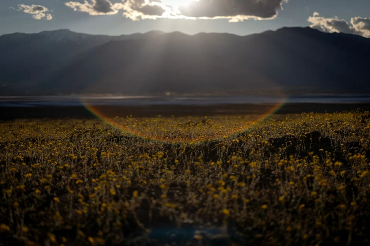 Ảnh ấn tượng: Trung Quốc hướng tới mục tiêu mới, Đệ nhất Phu nhân Mỹ lần đầu chủ trì cuộc họp LHQ, một di sản UNESCO bị tàn phá, Thung lũng Chết nở hoa