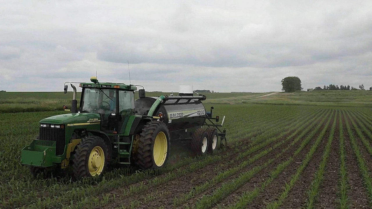 Tình hình Trung Đông: Anh lo ngại phí phân bón neo cao, Pháp kiềm chế đà tăng giá nhiên liệu, Nhật Bản cắt giảm sản xuất