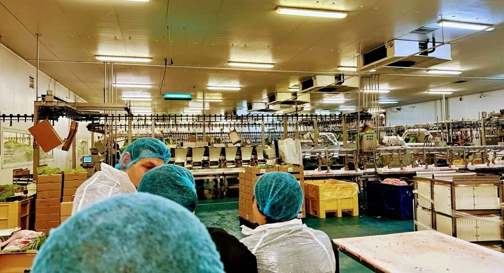 Tết nguyên đán 2026 cho công nhân lao động tại công ty Nitsiakos