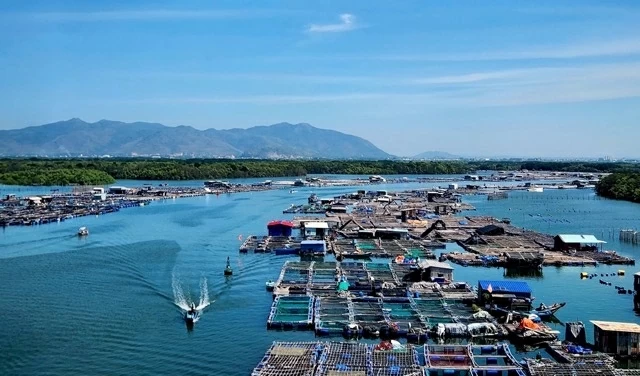 Trải nghiệm tour trực thăng ngắm TP.HCM và Vũng Tàu từ trên cao