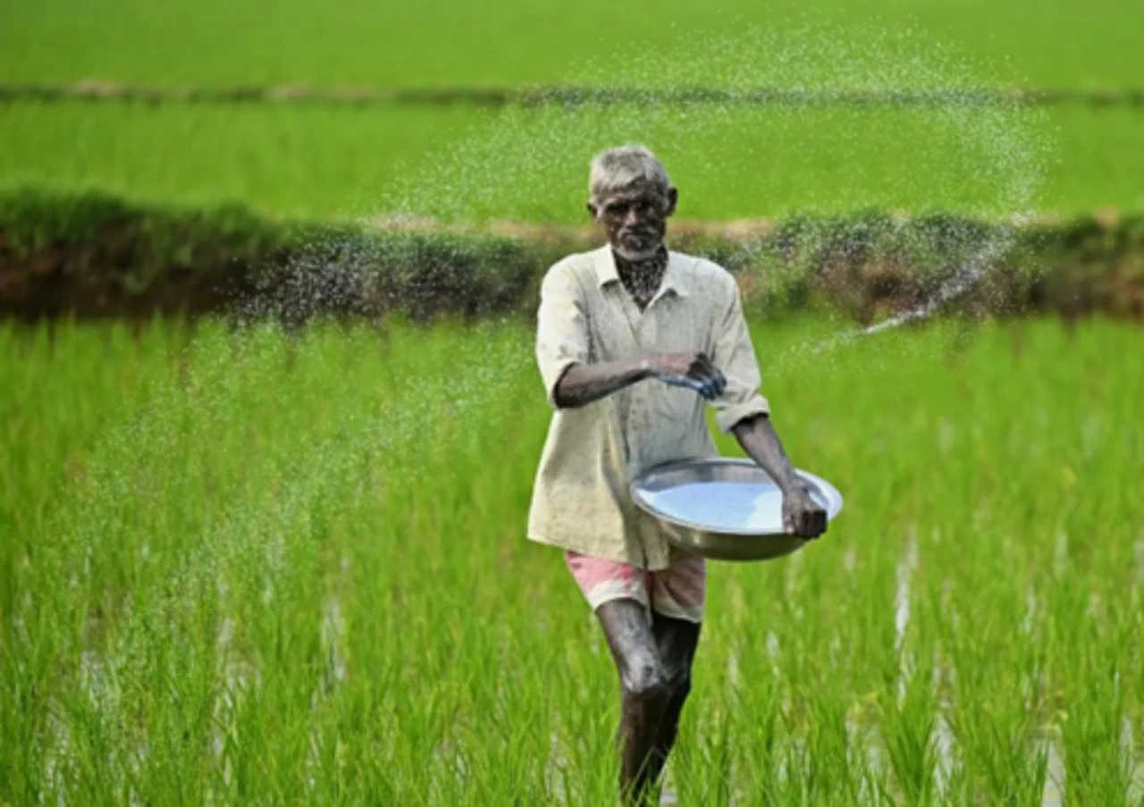 Ấn Độ hiện là quốc gia nhập khẩu urê lớn nhất thế giới. (Nguồn: The Hindu BusinessLine)