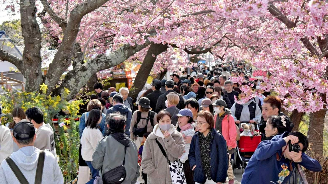 Du lịch toàn cầu: Nhật Bản đón luồng gió mới nhờ các startup; Hàn Quốc bộn thu vì hiệu ứng APEC Du lịch toàn cầu: Nhật Bản đón luồng gió mới nhờ các startup; Hàn Quốc bộn thu vì hiệu ứng APEC