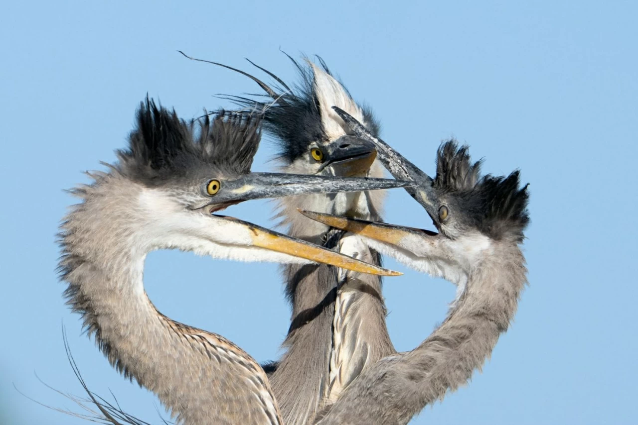 Ảnh ấn tượng: Trung Quốc muốn ‘kiểm soát bất đồng’ với Mỹ, Chủ tịch Triều Tiên thị sát nhà máy vũ khí, quốc kỳ Mỹ tung bay tại một Đại sứ quán lần đầu sau 7 năm