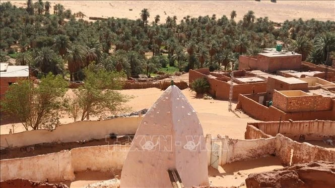 Các ốc đảo ở sa mạc Sahara: Nhịp sống xanh giữa biển cát