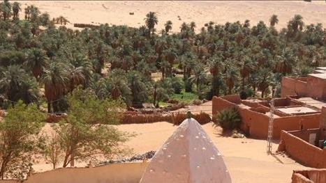 Các ốc đảo ở sa mạc Sahara: Nhịp sống xanh giữa biển cát