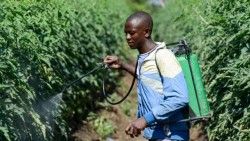 Chuỗi cung ứng trên bờ vực đứt gãy vì xung đột Trung Đông, châu Phi đối mặt rủi ro lương thực nghiêm trọng