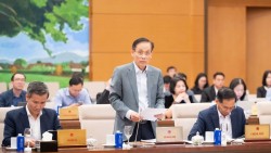 Nâng cao hiệu quả hoạt động của cơ quan đại diện Việt Nam ở nước ngoài trong tình hình mới