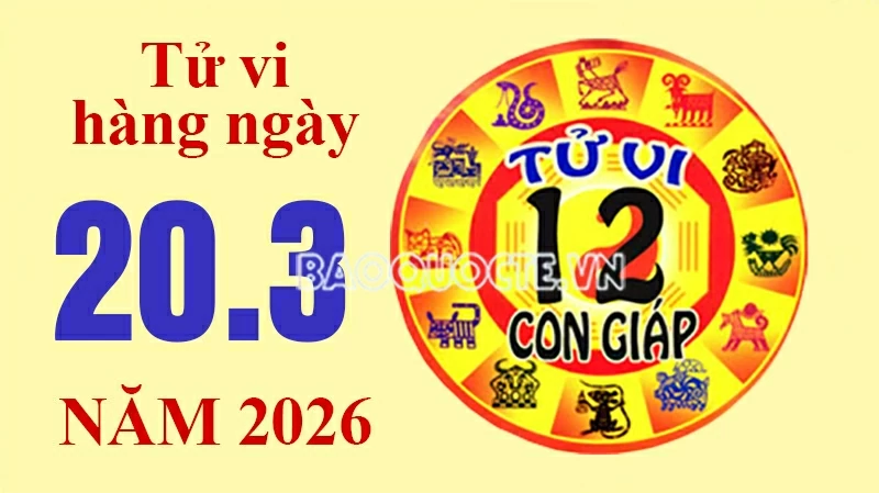 Tử vi hôm nay, xem tử vi 12 con giáp hôm nay ngày 20/3/2026: Tử vi hôm nay, xem tử vi 12 con giáp hôm nay ngày 20/3/2026: