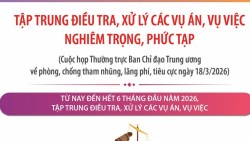 Phòng, chống tham nhũng, lãng phí, tiêu cực: Tập trung điều tra, xử lý các vụ án, vụ việc nghiêm trọng, phức tạp