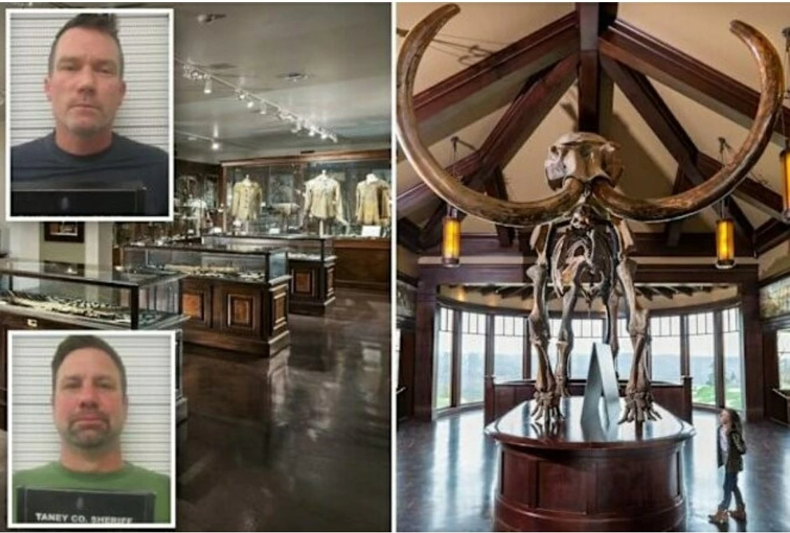 Hai du khách làm vỡ ngà voi ma mút 10.000 năm tuổi Hai du khách làm vỡ ngà voi ma mút 10.000 năm tuổi