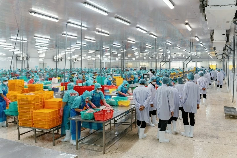 Bí thư Tỉnh ủy Thanh Hóa thăm khu vực sản xuất của Tập đoàn Sao Mai trong khuôn khổ chuyến làm việc tại An Giang.