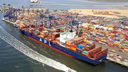 Pakistan triển khai loạt ưu đãi lớn nhằm thúc đẩy hoạt động cảng và vận tải biển xanh