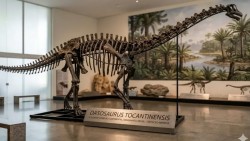 Brazil phát hiện hóa thạch khủng long loài mới, kích thước khổng lồ