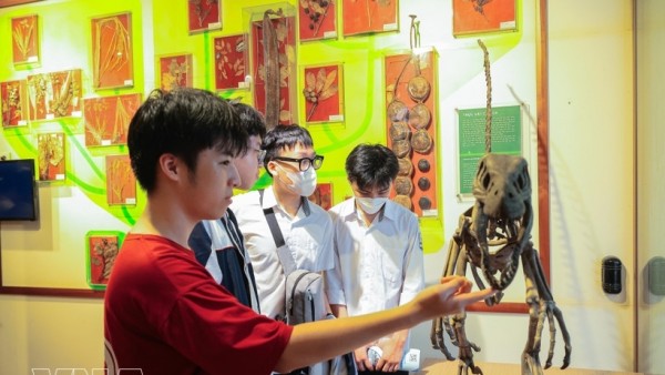 Vietnam National Museum of Nature draws record-breaking crowds