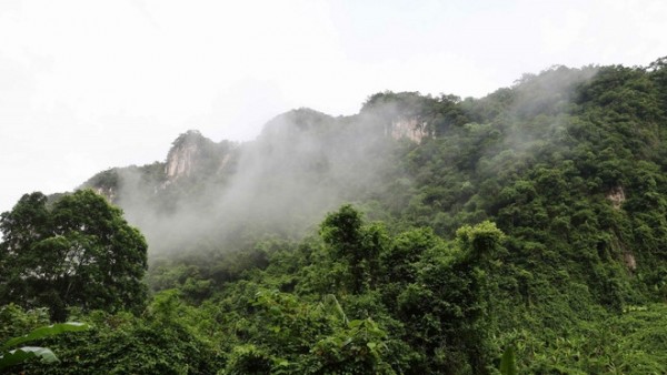 Phong Nha-Kẻ Bàng: ‘Kho báu sinh học’ đang tiếp tục được khám phá