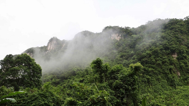 Phong Nha-Kẻ Bàng: ‘Kho báu sinh học’ đang tiếp tục được khám phá