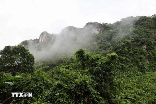 Phong Nha-Kẻ Bàng: Kho báu sinh học chưa được khám phá giữa đại ngàn Trường Sơn Phong Nha-Kẻ Bàng: Kho báu sinh học chưa được khám phá giữa đại ngàn Trường Sơn