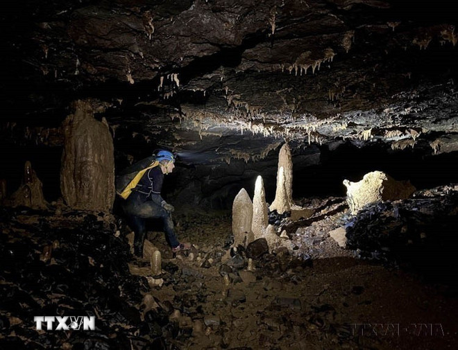 Phong Nha-Kẻ Bàng: Kho báu sinh học chưa được khám phá giữa đại ngàn Trường Sơn Phong Nha-Kẻ Bàng: Kho báu sinh học chưa được khám phá giữa đại ngàn Trường Sơn