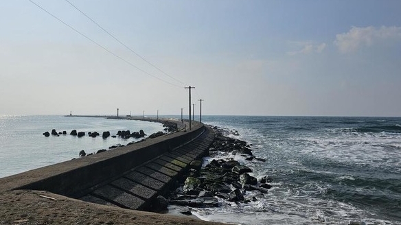 Đại sứ quán Việt Nam tại Nhật Bản kịp thời bảo hộ công dân trong vụ tai nạn do sóng lớn