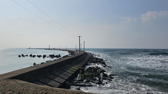 Đại sứ quán Việt Nam tại Nhật Bản kịp thời bảo hộ công dân trong vụ tai nạn do sóng lớn