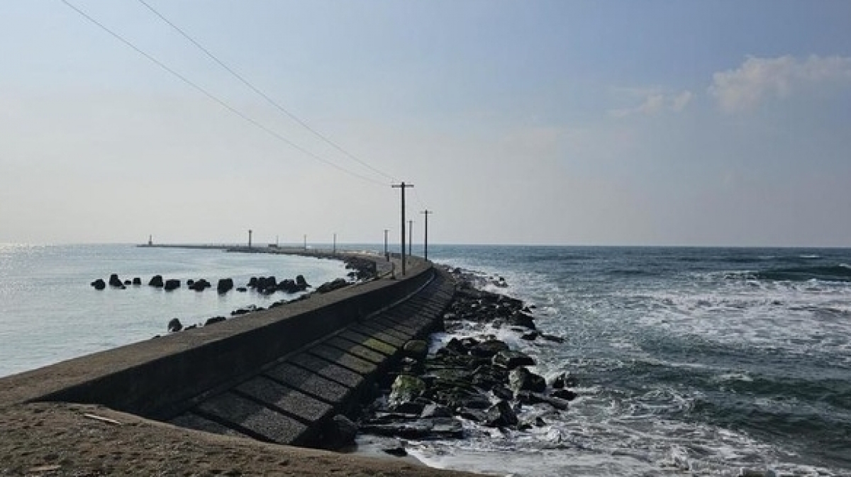 Đại sứ quán Việt Nam tại Nhật Bản kịp thời bảo hộ công dân trong vụ tai nạn do sóng lớn