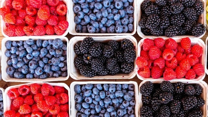 Cách ăn uống này đang âm thầm 'giữ trẻ' cho não