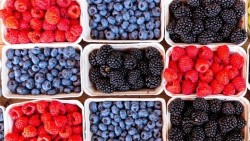 Cách ăn uống này đang âm thầm 'giữ trẻ' cho não