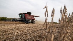 Giá phân bón tăng vọt, nông dân Mỹ thêm gánh nặng trong bối cảnh căng thẳng tại Trung Đông